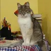 Отзыв от Антонина Богомолова